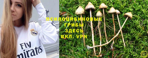 mdpv Кулебаки