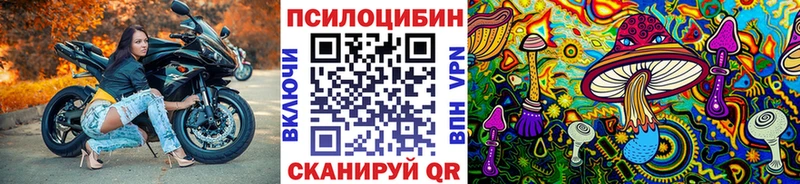 Купить  Калининград  Псилоцибиновые грибы MAGIC MUSHROOMS 